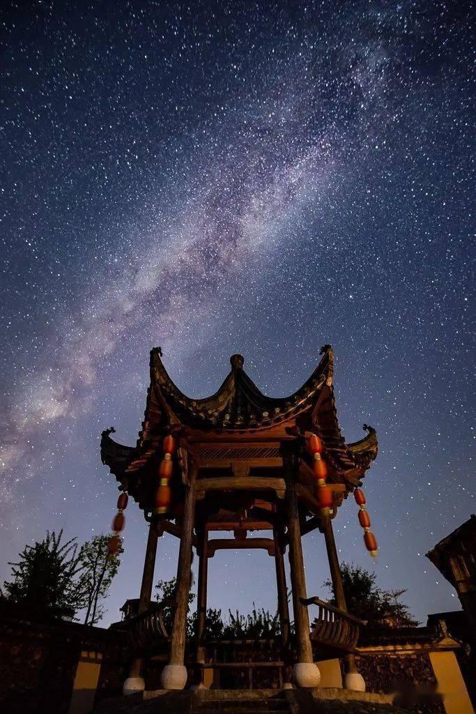 异星探险家